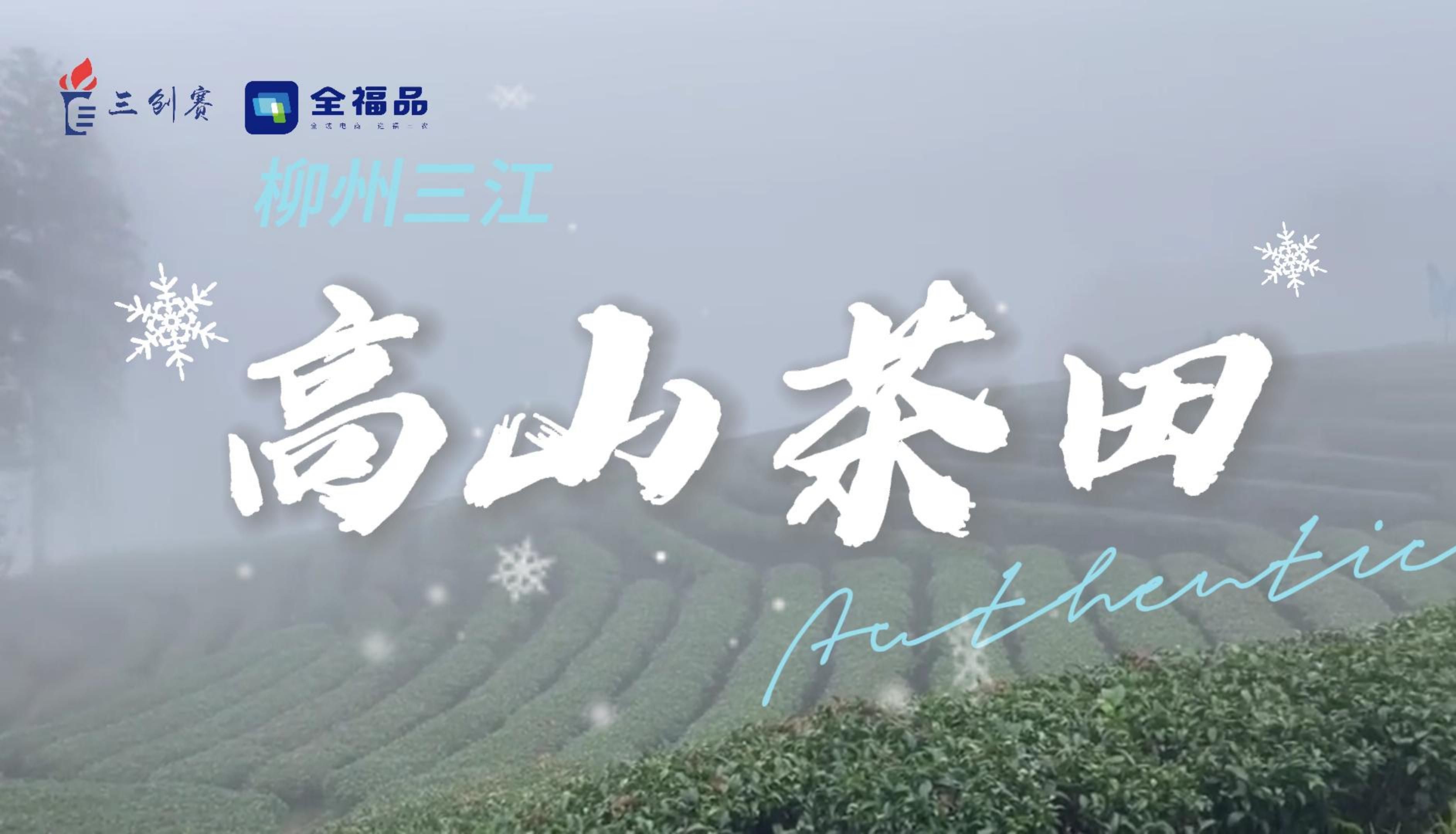 三江山茶油,纯天然好油,助力乡村振兴哔哩哔哩bilibili