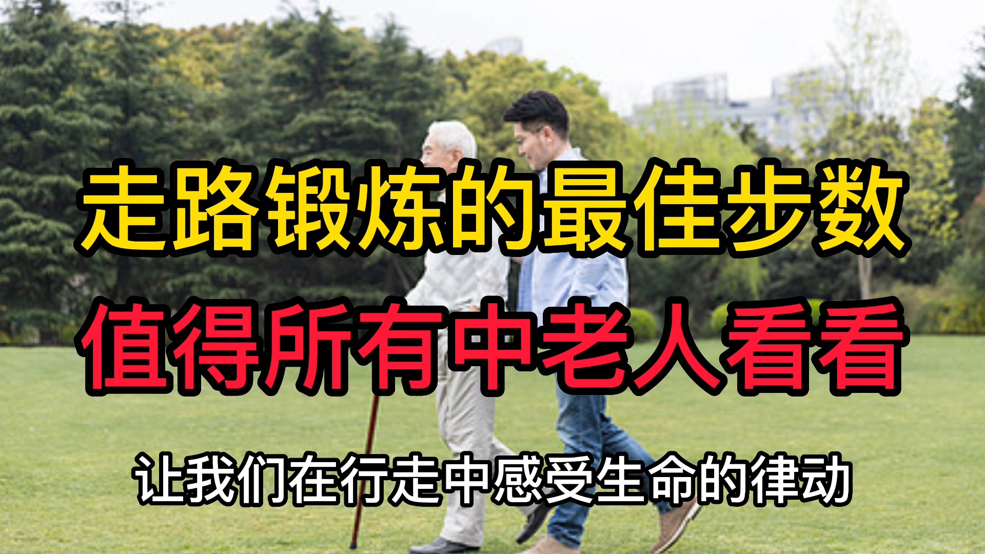 哈佛大学终于公布:人到晚年,走路锻炼的最佳步数!早了解不吃亏哔哩哔哩bilibili