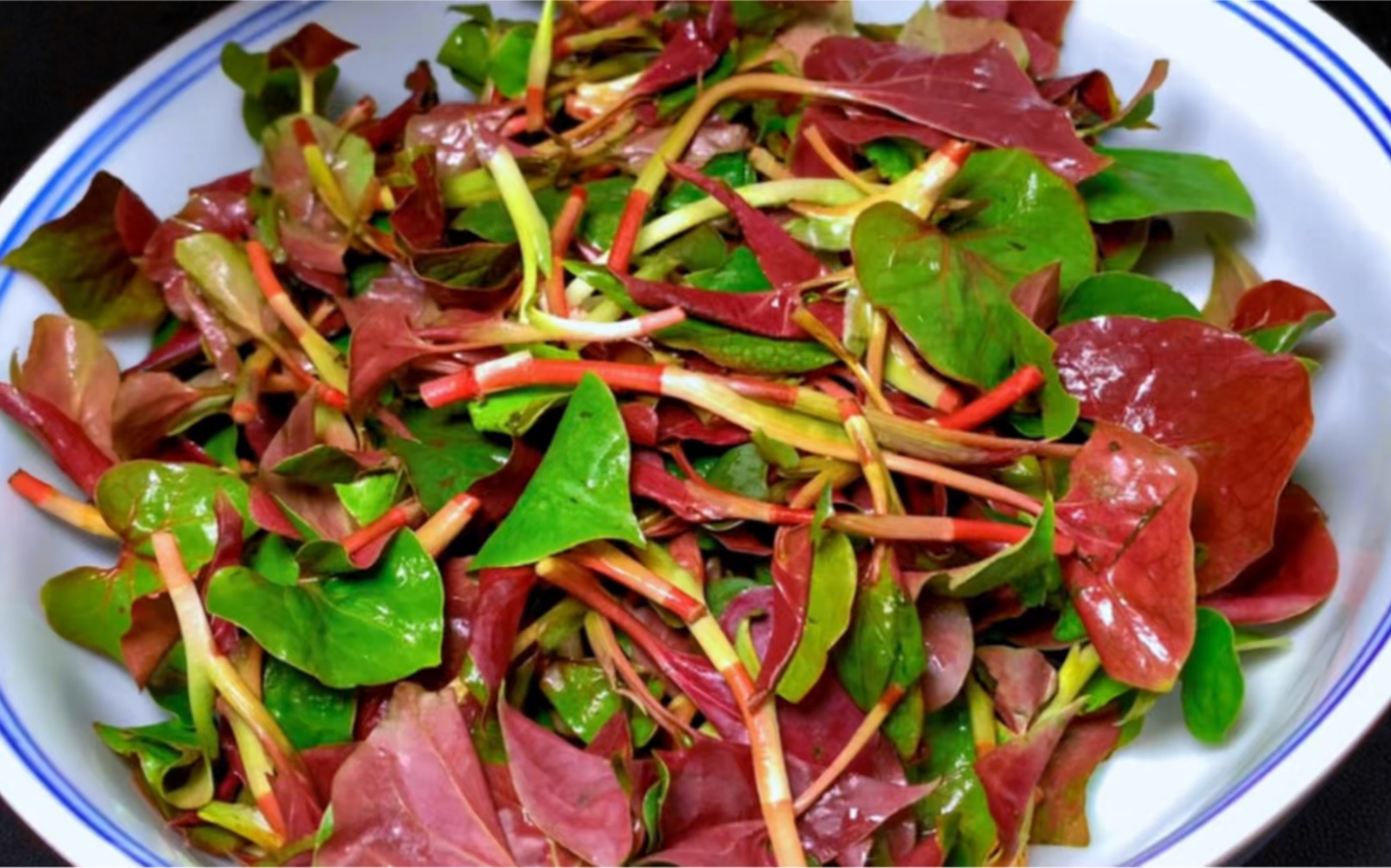 凉拌折耳根的功效(凉拌折耳根:清热解毒,降火润肺)