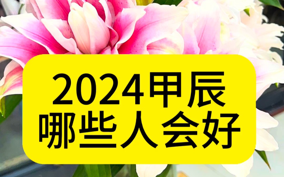 2024甲辰年哪些人会好哔哩哔哩bilibili