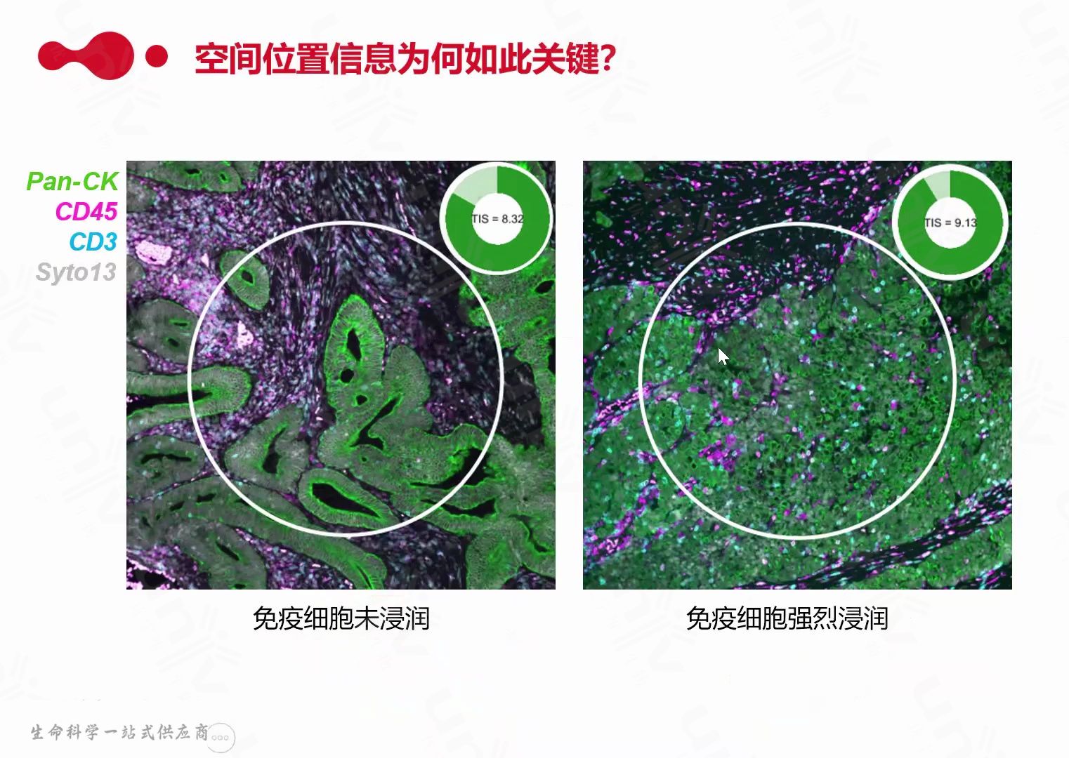 空间多组学技术与皮肤领域研究哔哩哔哩bilibili