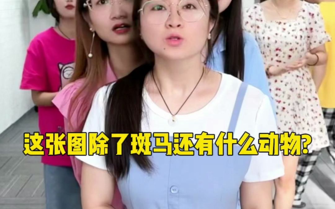 除了斑马还有什么动物?哔哩哔哩bilibili