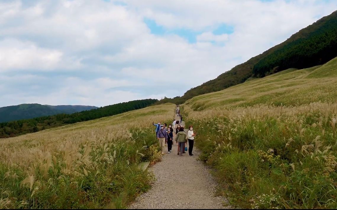 【超清日本】漫步秋季的箱根 仙石原 2020.10