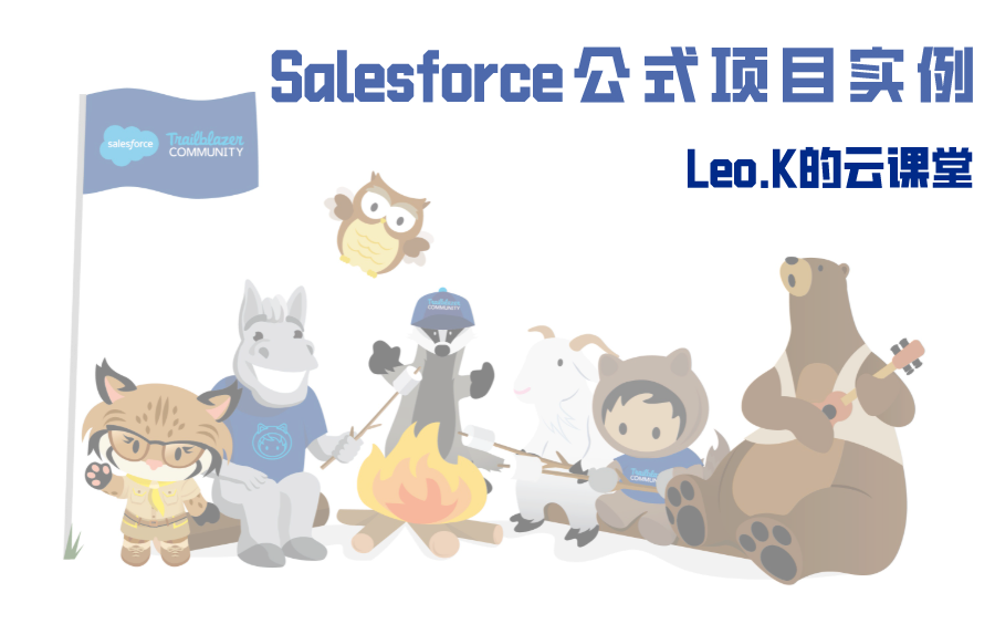 Salesforce公式项目实例哔哩哔哩bilibili