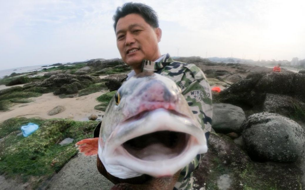 阿阳赶海抽干大水坑,徒手生擒四五斤的大鱼,一条就快把水桶占满了哔哩哔哩bilibili