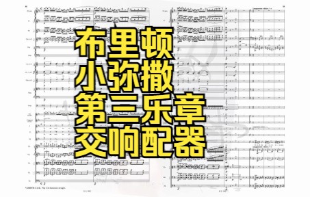 [图]【up主交响配器】【RaOSi】（冷门佳作）布里顿：短弥撒 Missa Brevis，Op. 63，第三乐章：Largamente【up主编曲】