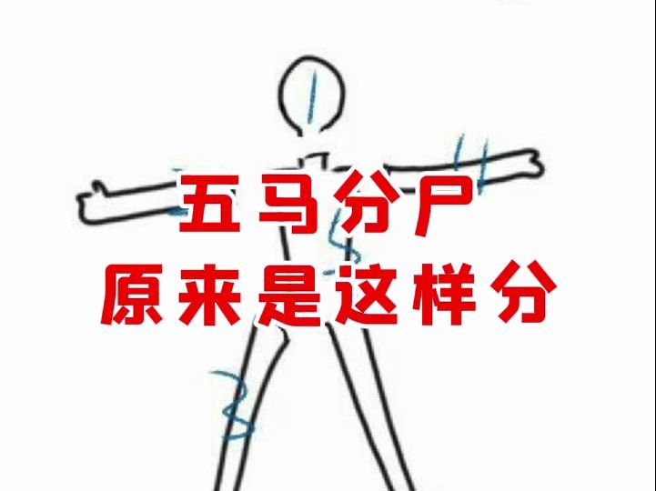 【微拍堂】五马分尸原来是这样哔哩哔哩bilibili