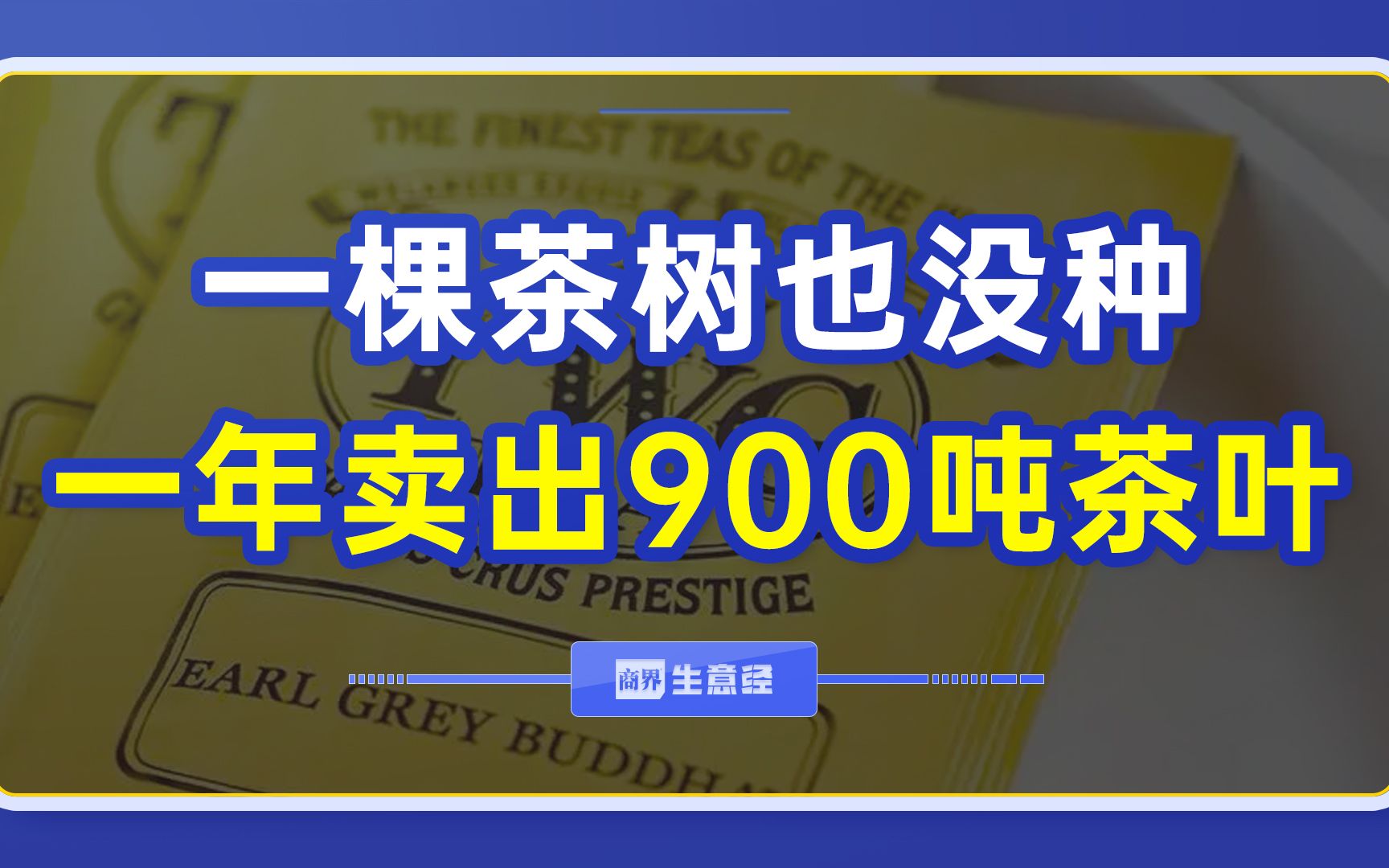 一棵茶树也不种,一年却能卖出900吨茶叶哔哩哔哩bilibili