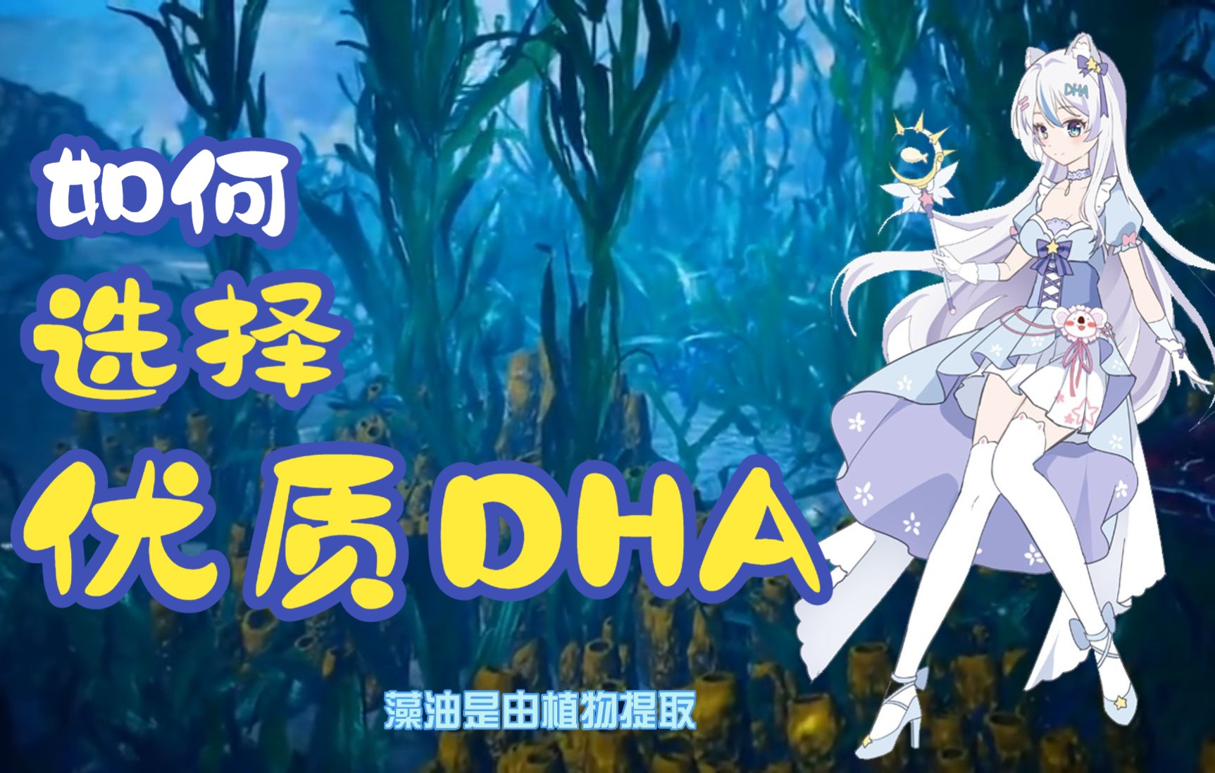 如何选择优质的DHA?哔哩哔哩bilibili