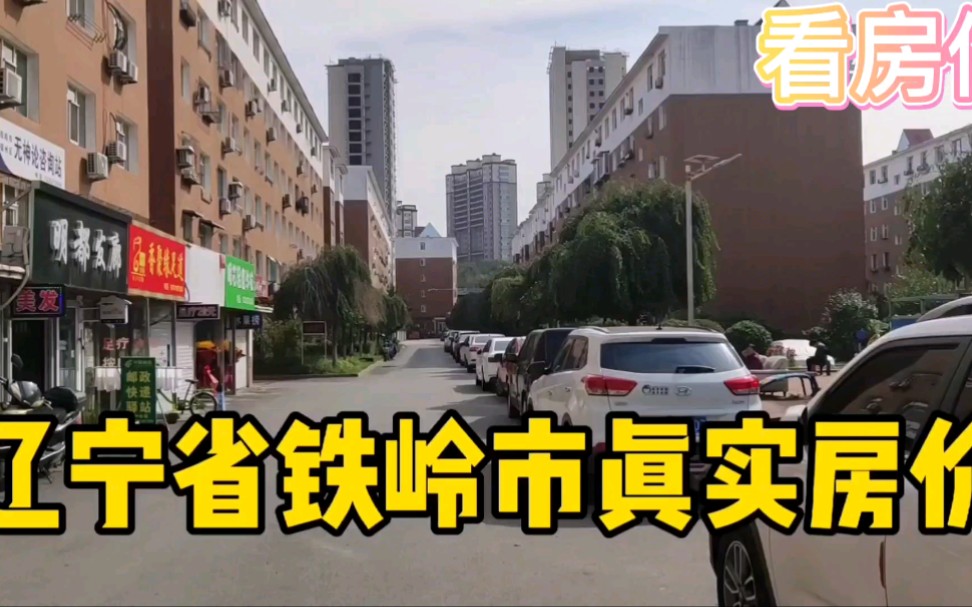 辽宁省铁岭市真实房价,现场访问老百姓,以买房者身份打电话谈价.哔哩哔哩bilibili