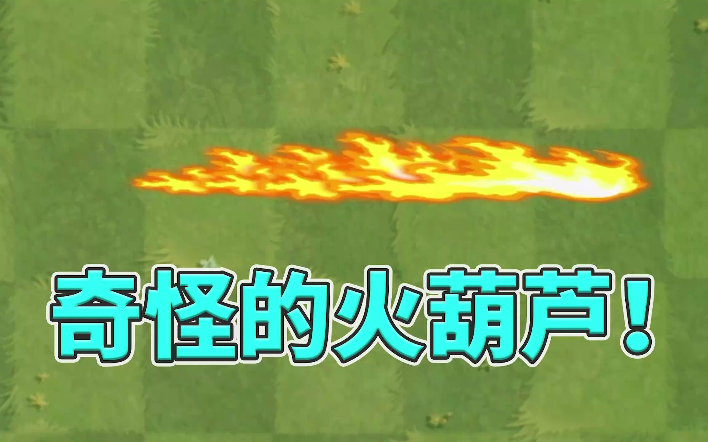 植物大战僵尸2:一生要强的火葫芦,火焰生生不息!