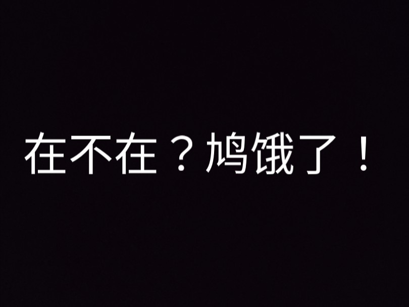 【珠颈斑鸠】斑鸠:思考ing,论食物定点刷新的概率哔哩哔哩bilibili