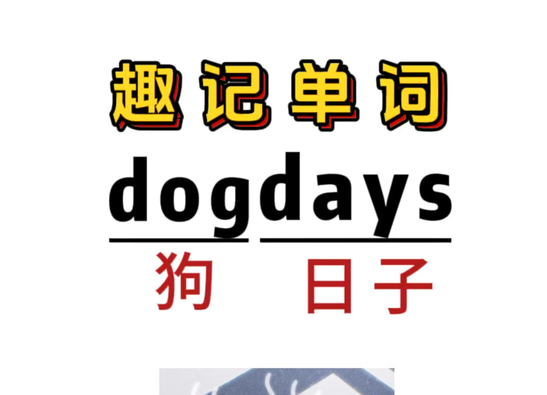 趣味记单词:dogdays哔哩哔哩bilibili