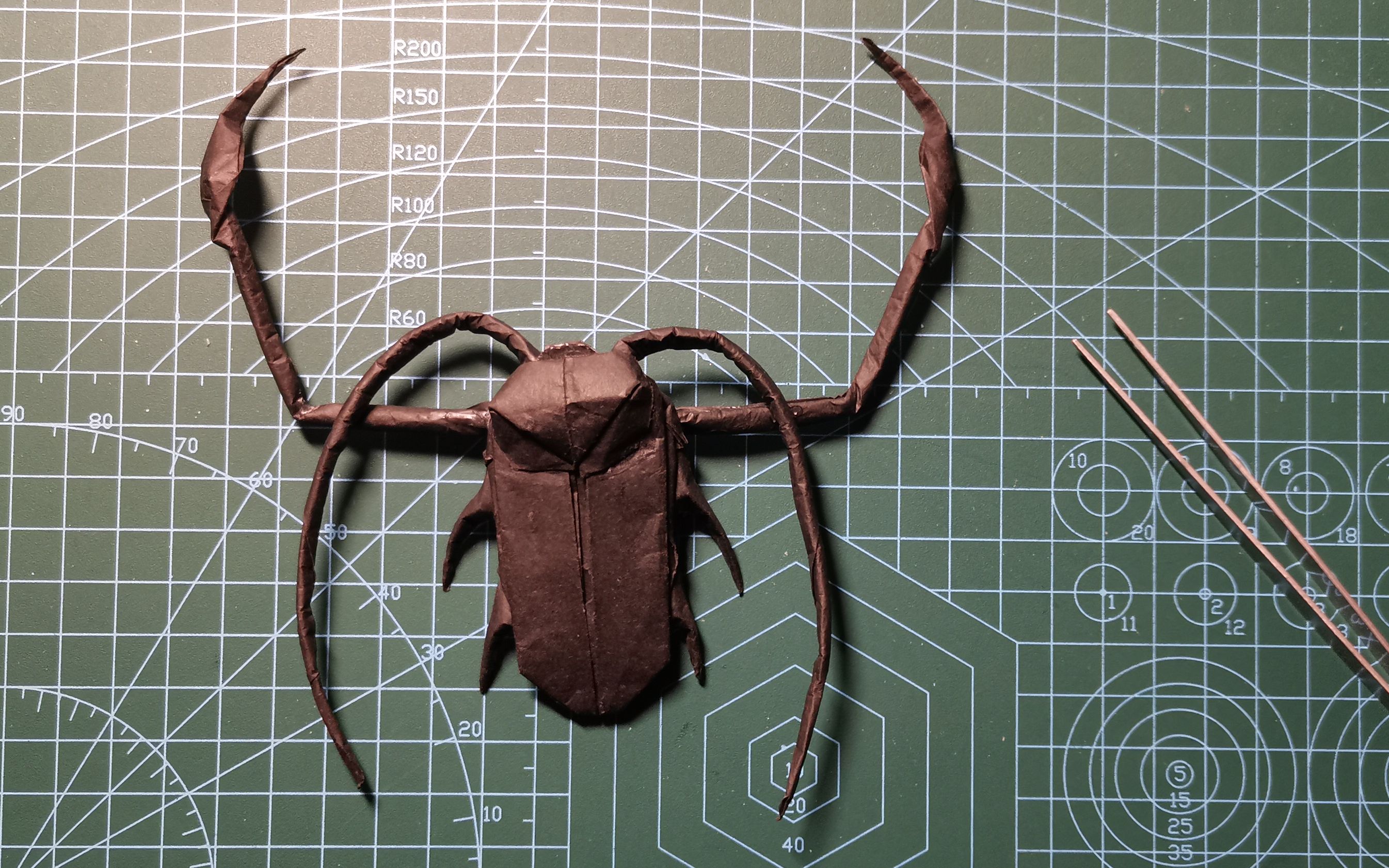 活动作品来折一只帅气的天牛吧