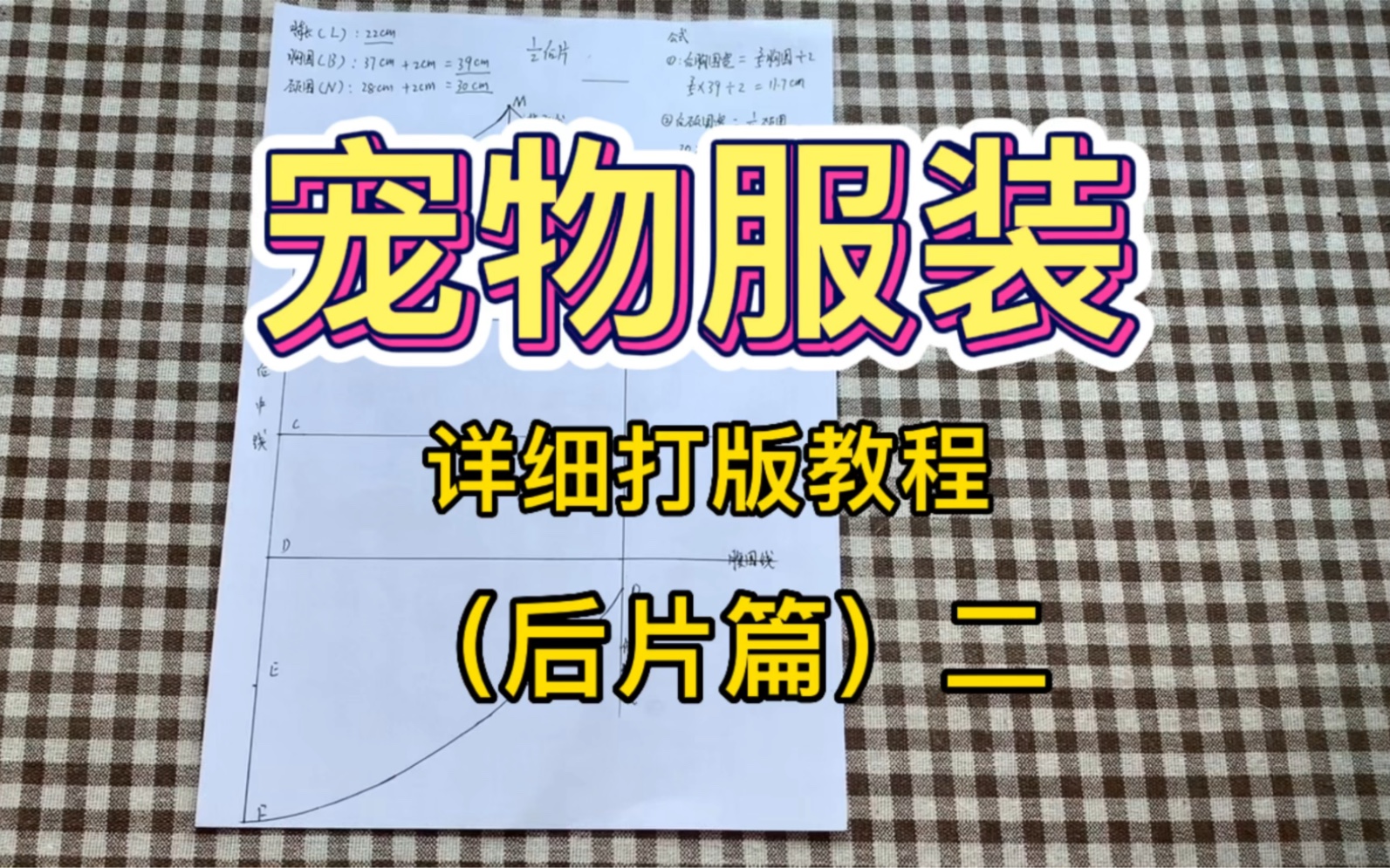 宠物服装打版教程 零基础保姆级打版教程来咯哔哩哔哩bilibili