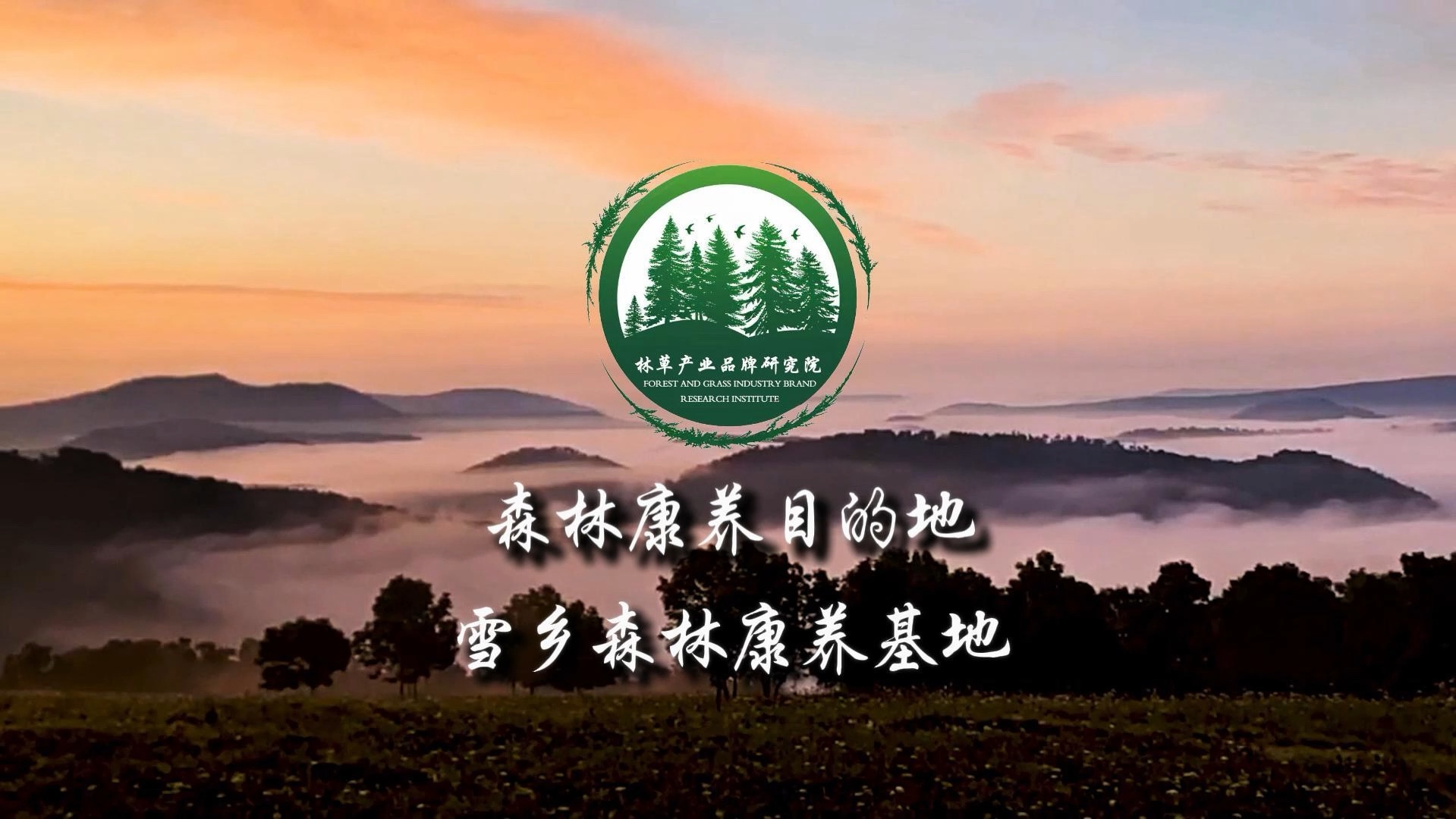 地影响力榜单第二十站带您走进,黑龙江省牡丹江市雪乡森林康养基地