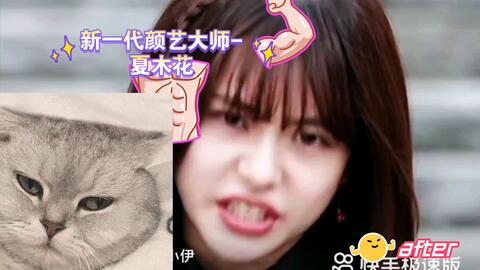 新一代颜艺大师 夏木花 哔哩哔哩