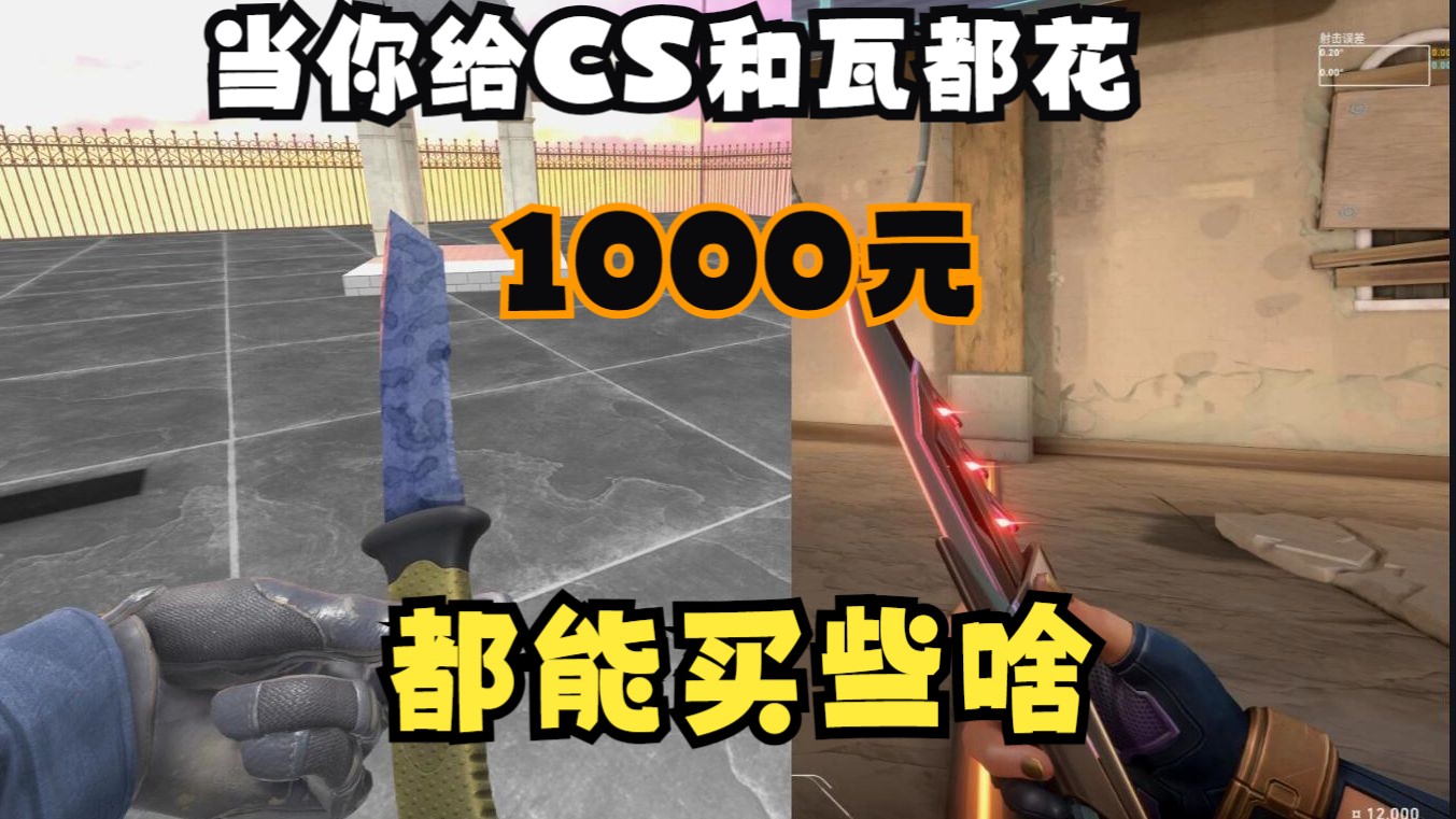 [图]当你给CS2和无畏契约都花1000元，都能买到什么皮肤