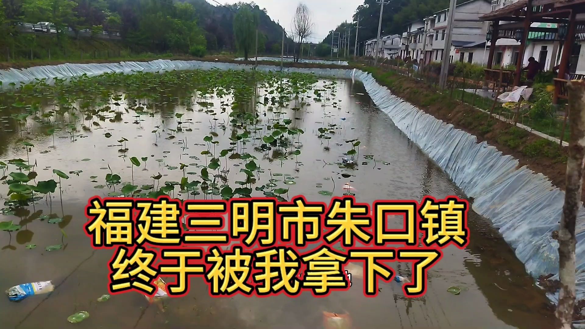 福建三明百亩池塘,今天终于被我成功拿下,放手一搏就赌今年哔哩哔哩bilibili