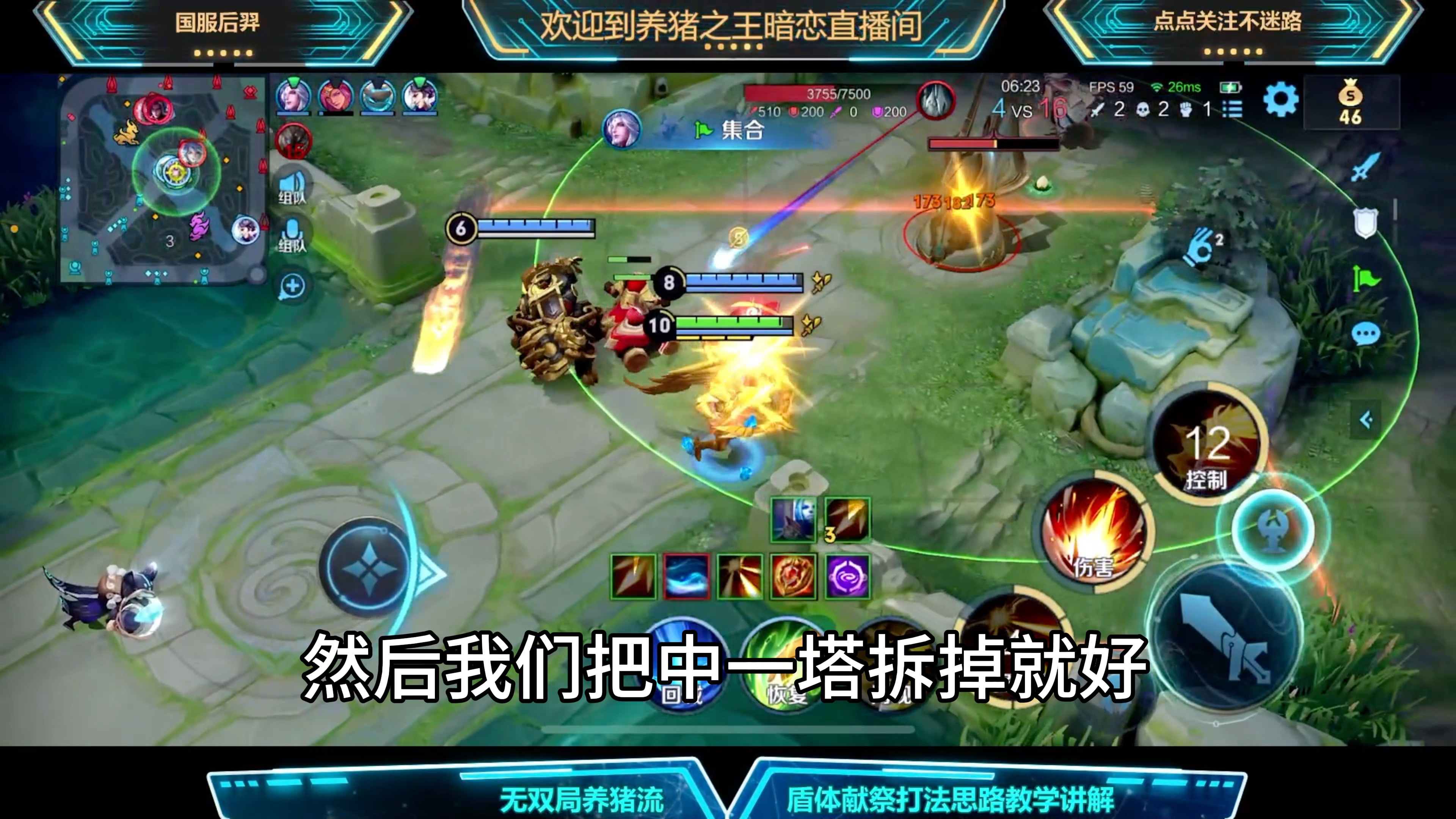 王者荣耀养猪流