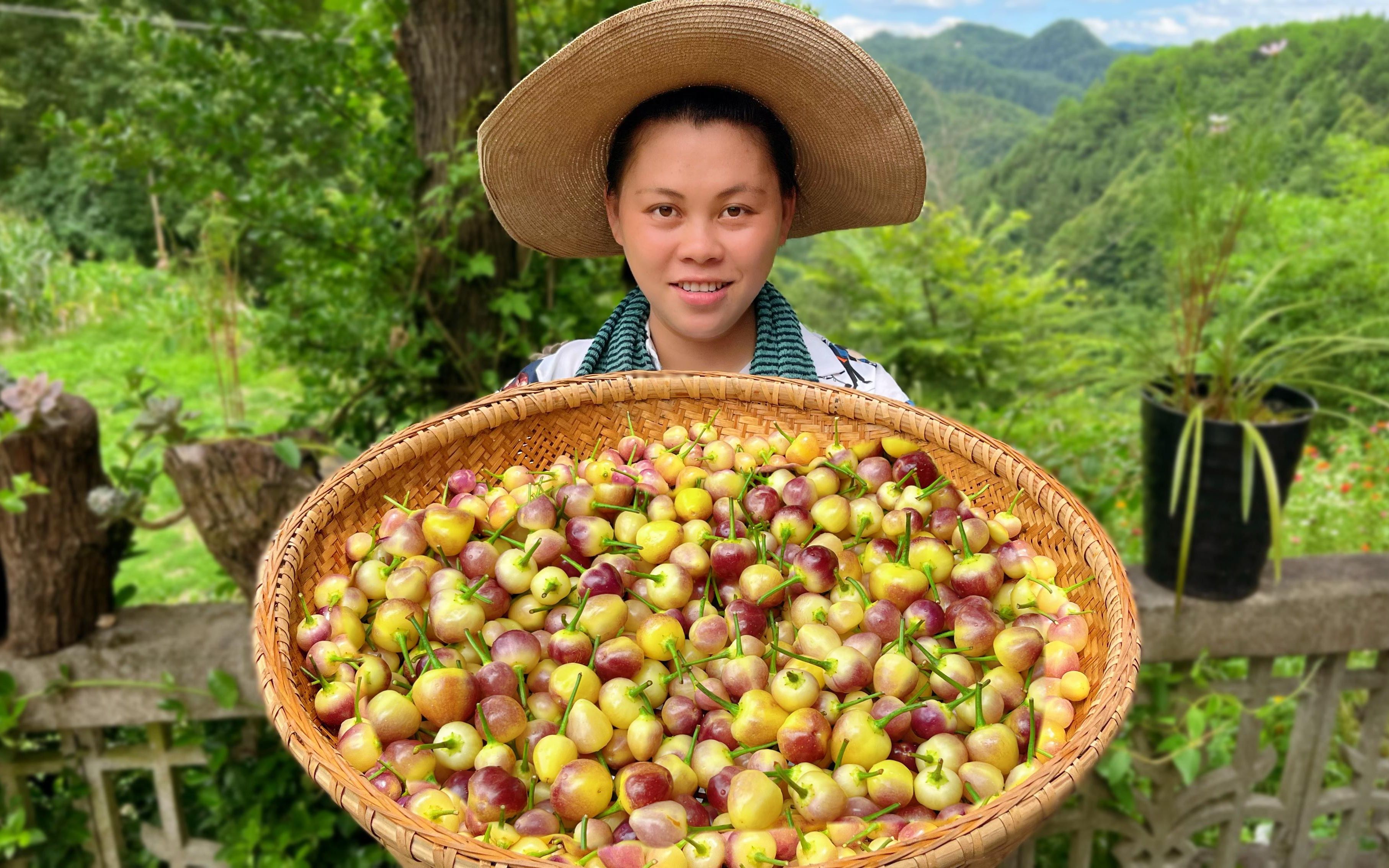 今天把地里的彩椒摘了,都做成美味的泡椒,一口一个可以吃很久哔哩哔哩bilibili