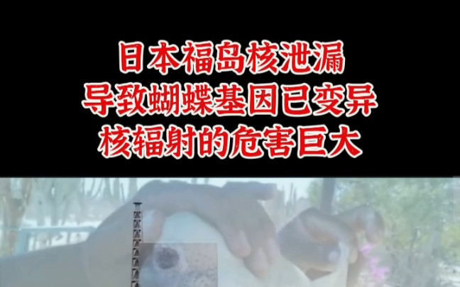 日本福岛核泄漏的核辐射危害直到今天依然在持续……他们现在将核辐射