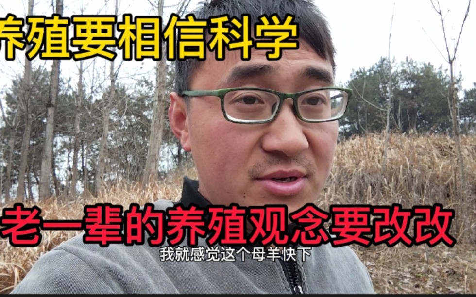 搞养殖趋于年轻化老一辈的养殖观念得改,30只羊一年利润才一万多哔哩哔哩bilibili