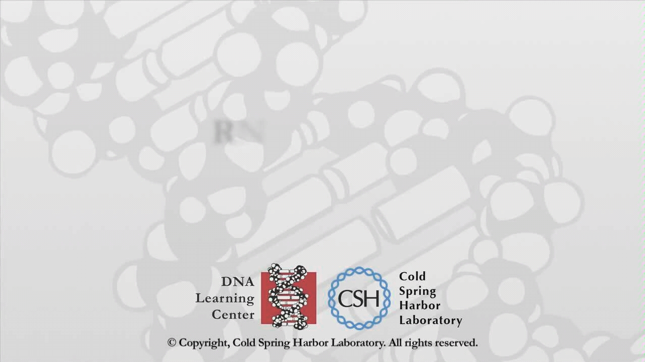 【生化】RNA拼接 RNA Splicing哔哩哔哩bilibili