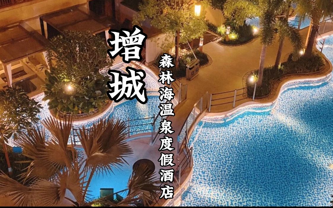 增城 | 森林海温泉度假酒店哔哩哔哩bilibili