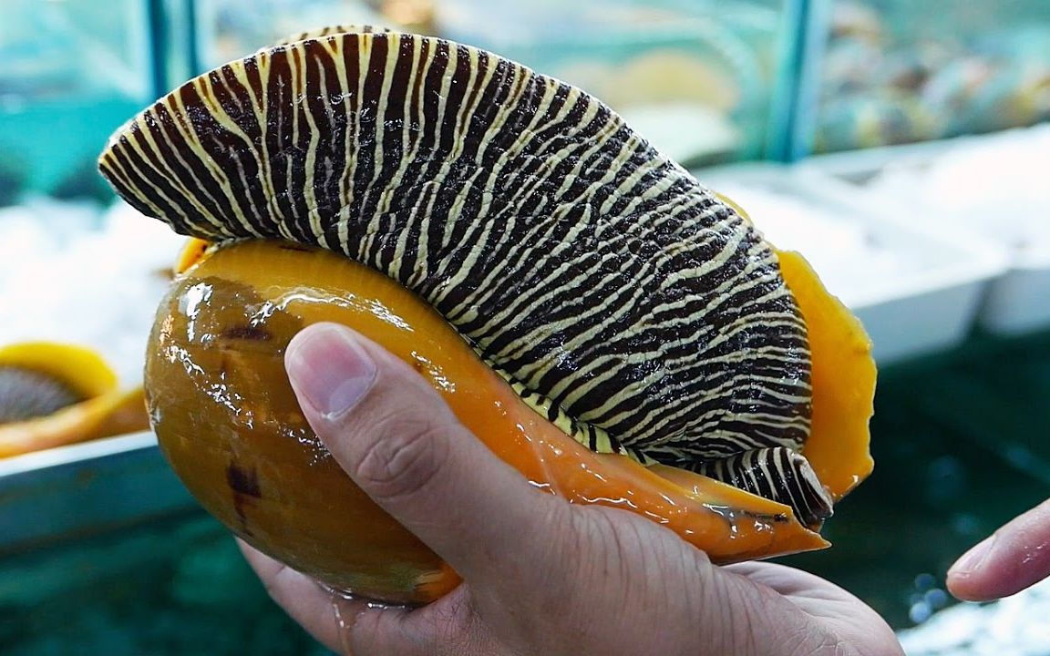 巨型海鲜-怪物海螺泰国街美食