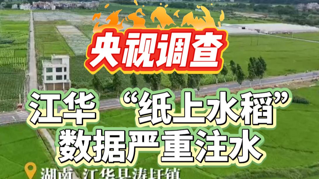 焦点访谈|央视调查揭乱象：江华 “纸上水稻” 数据严重注水，良田种粮政策沦为纸面空谈