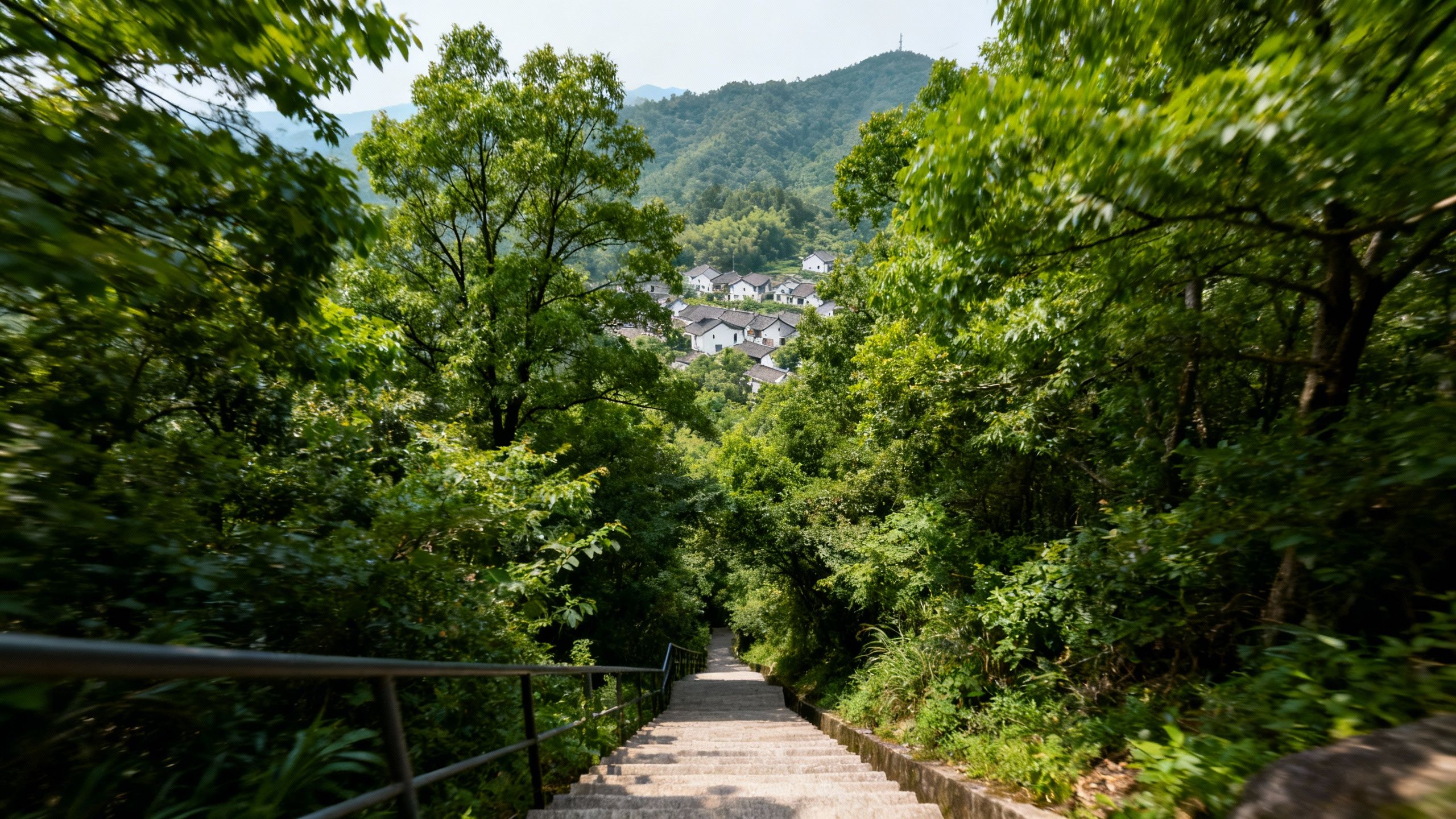 秋来爬惠山