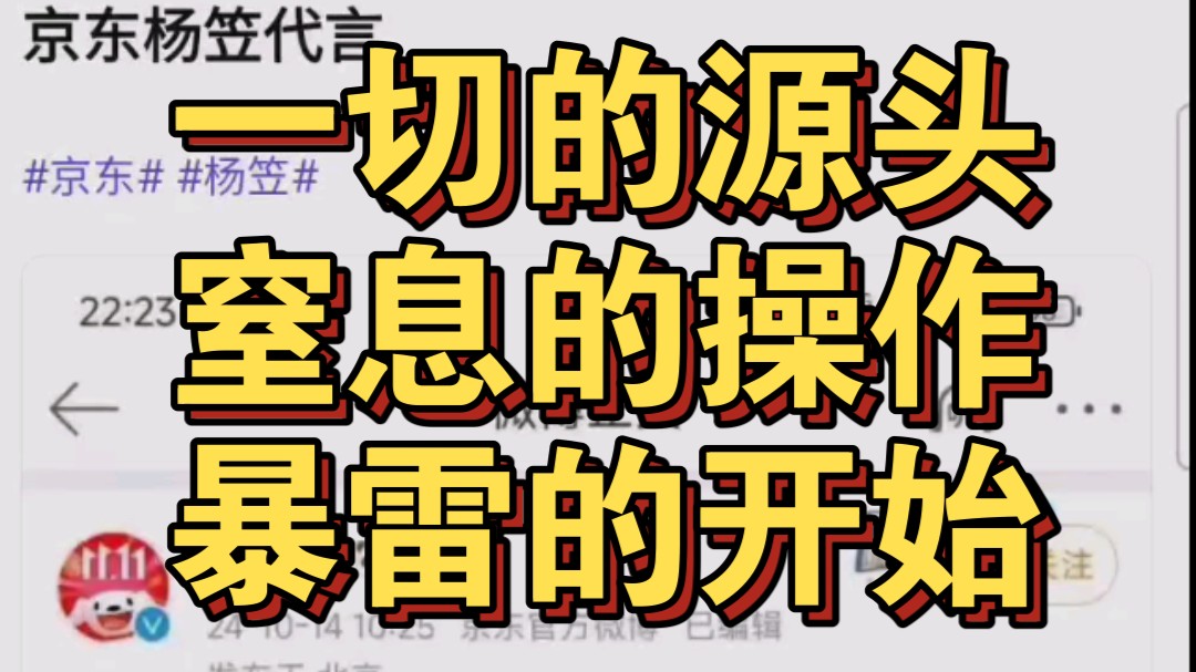 京东请杨笠代言,一切的源头,窒息的操作,后来的人怎么都不会想到,JD暴雷的开始,会是因为一场小小的代言活动哔哩哔哩bilibili