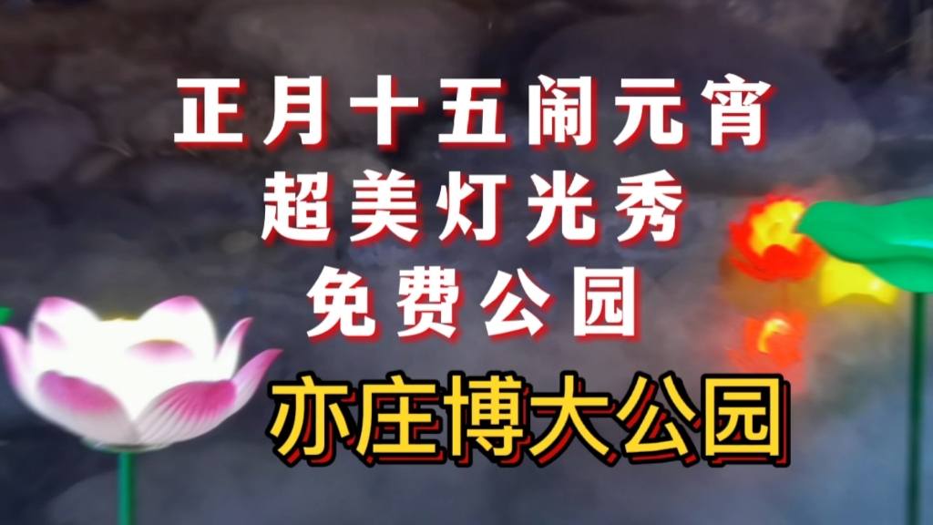 正月十五闹元宵超美灯光秀,就在这个免费公园,北京亦庄博大公园等你来赏花灯哔哩哔哩bilibili