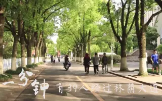 一分钟短视频校园大赛三等奖