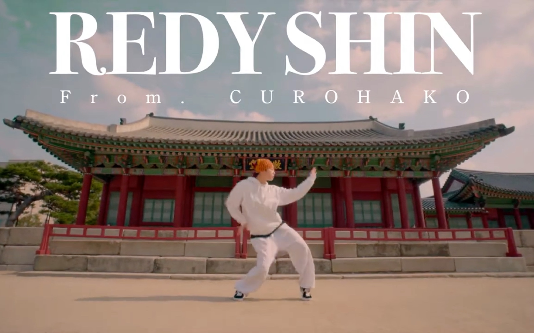 为编舞家们准备的freestyle对决 c-reestyle | mvp [redy shin]