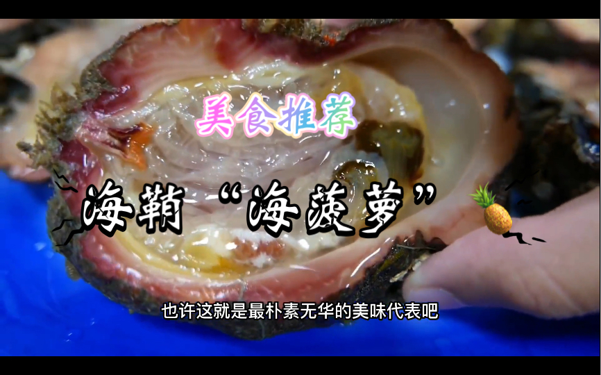 酷似“石头”的海味海菠萝,天花板级别的料理方式,十分甜美!#美食推荐#上热门哔哩哔哩bilibili