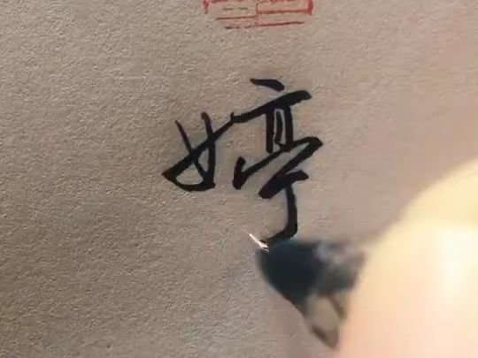 单字练习“婷”,你也许会想起谁?哔哩哔哩bilibili