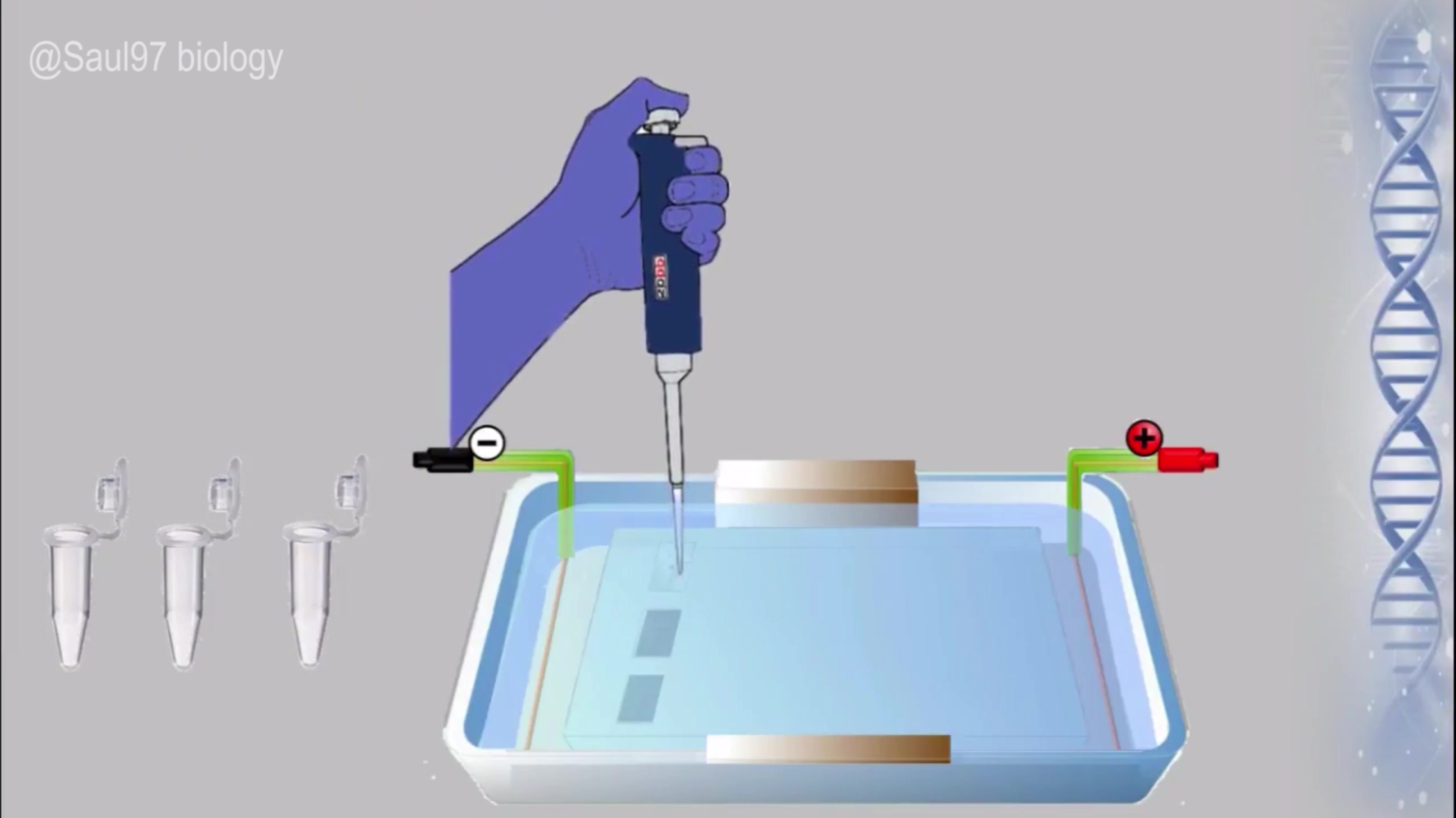 趣味分子生物学论我们平时是怎么跑电泳的4k