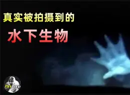 Download Video: 7名潜水员看到了永生难忘的一幕！贝加尔湖下面到底有什么东西？