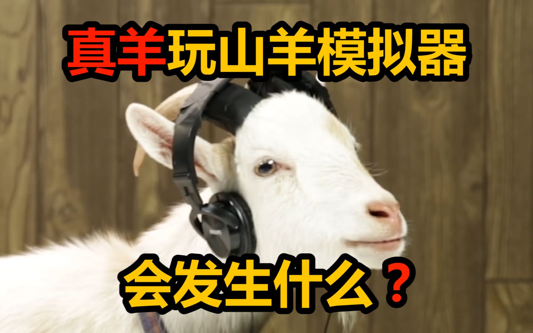 真羊遇见山羊模拟器会发生什么？羊：就跟真人玩模拟人生一样_哔哩哔哩_bilibili