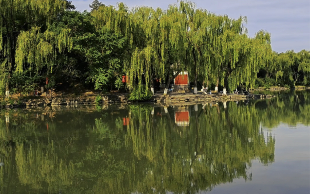 [图]北京大学未名湖畔的夏天有多美