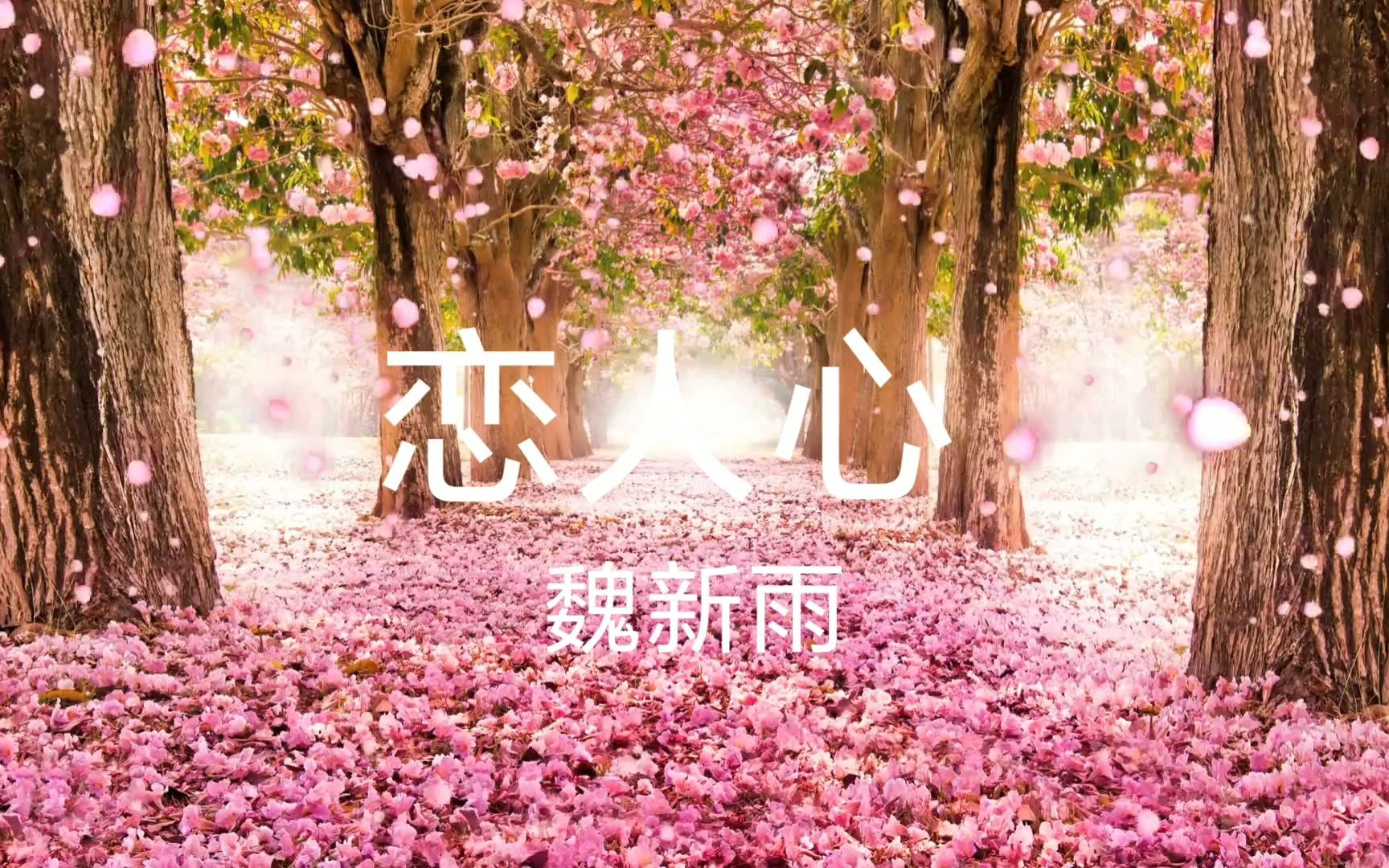 化作风,化作雨,思念最是遥遥无期,魏新雨的《恋人心》哔哩哔哩bilibili