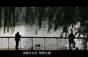 Download Video: 电影感记录｜新乡牧野公园