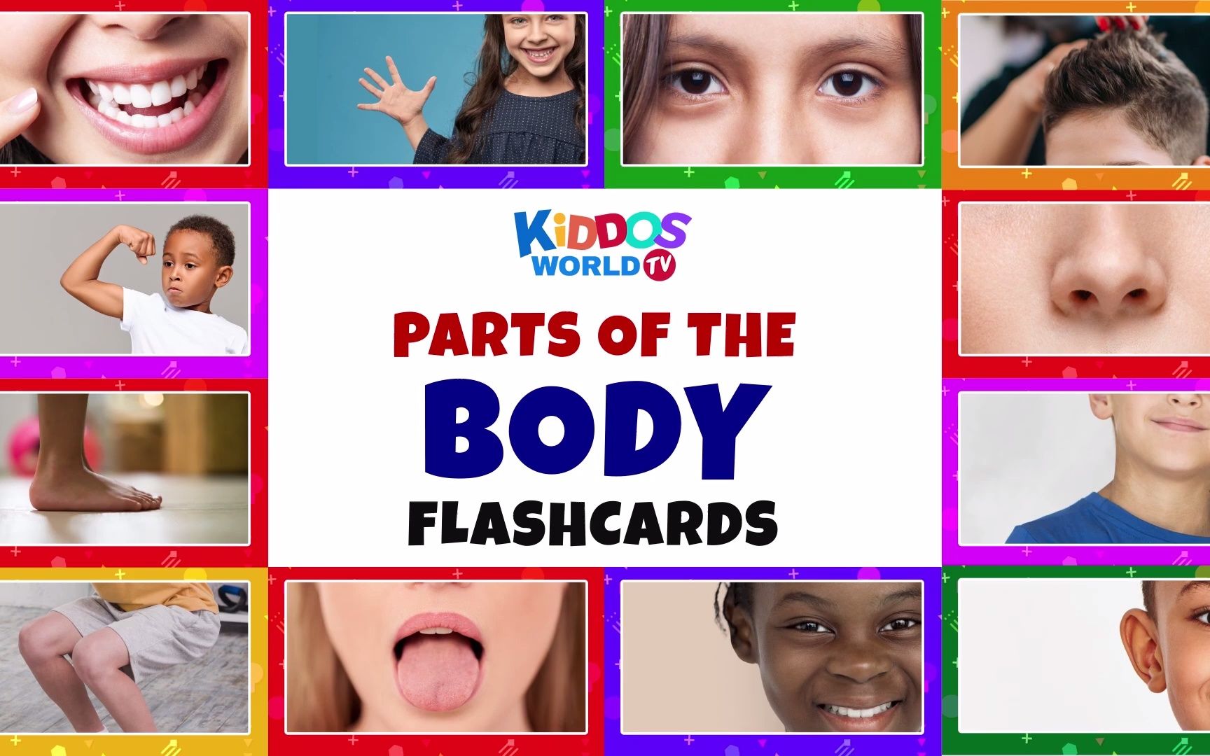 [图]Part of the Body for Kids - Body Parts Flashcards