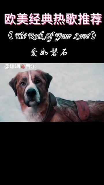 歌名:《The Rock Of Your Love》 中文: 爱如磐石 歌手:乡村音乐教父Henny Rogers肯尼ⷧ𝗦𐦖ﬤ𘀤𘪧œŸ正被岁月浸润过的嗓音,沙哑哔哩哔哩bilibili