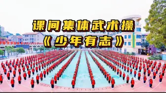 Скачать видео: 课间集体武术操《少年有志》国学传统文化手势舞蹈，体育艺术节运动会开幕式团体节目，小学生广播体操，国庆毕业典礼六一儿童节弟子规演出