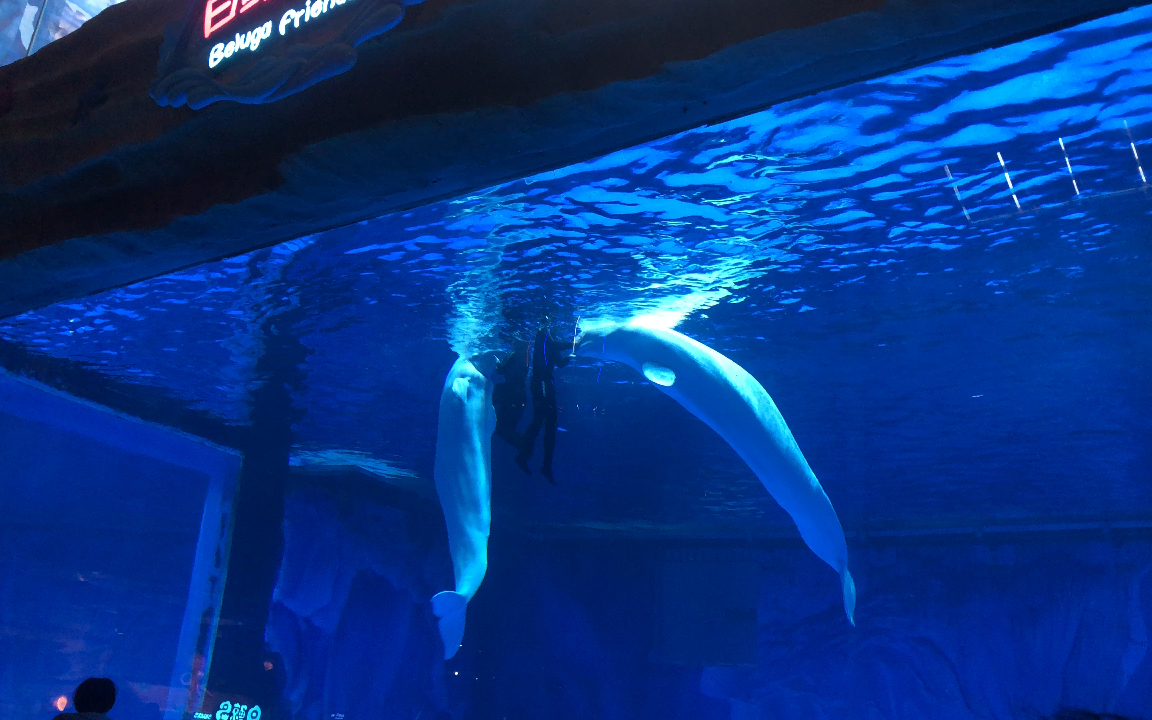 昆明融创海世界