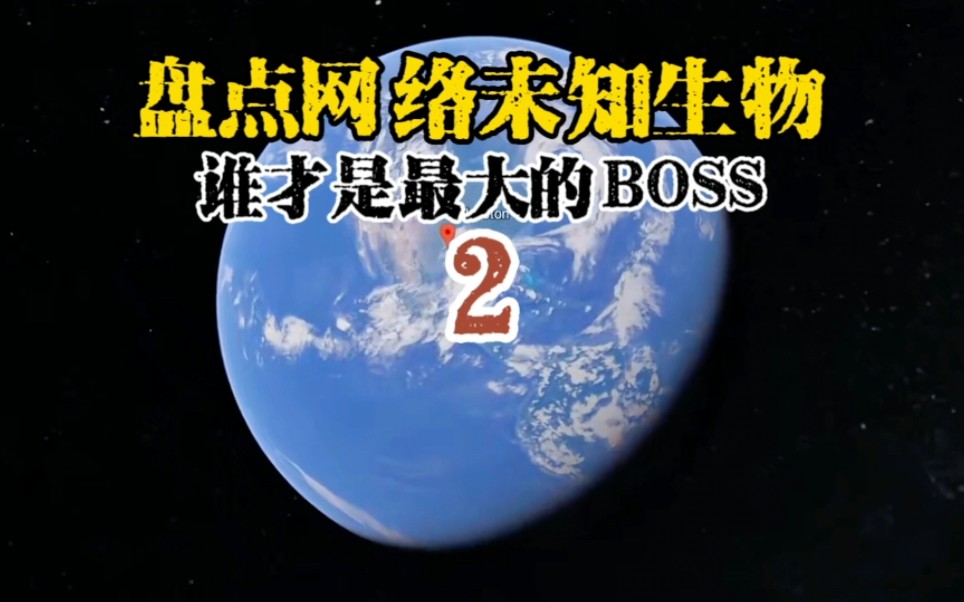 [图]盘点未知生物2：谁才是宇宙里最大的BOSS？最后一个出乎意料