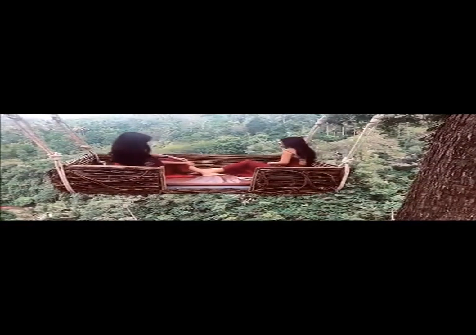 2024年tecplot下载全攻略如何下载tecplot软件与安装教程详解及绿色版